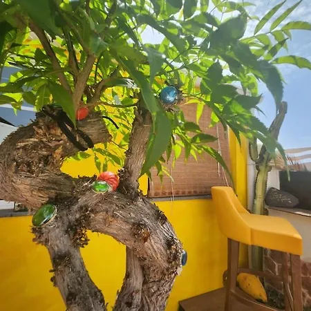 Shangri-lá Botanical Room Apartamento *